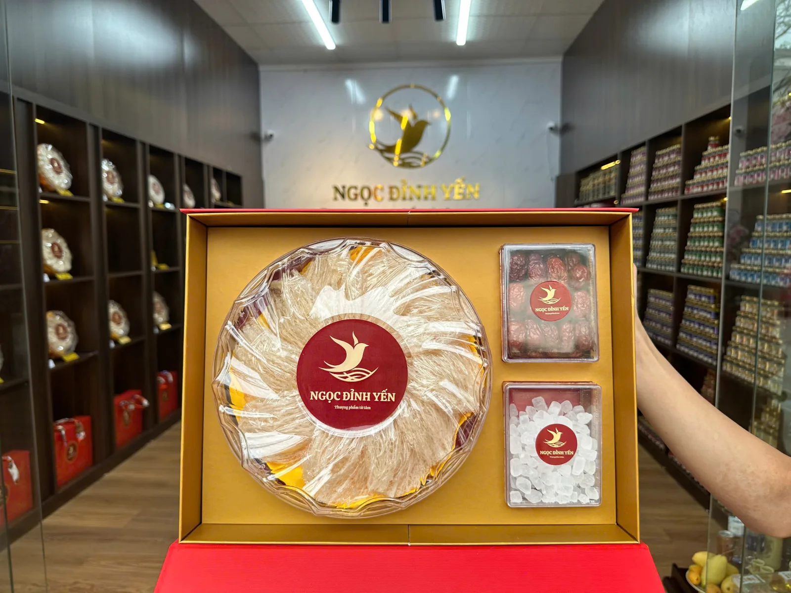 Tổ Yến